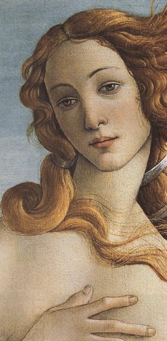 Sandro Botticelli The Birth of Venus (mk36) China oil painting art